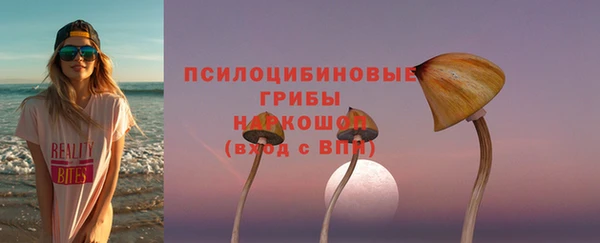 спиды Алексеевка