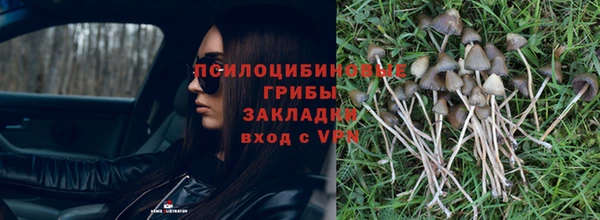 спиды Алексеевка