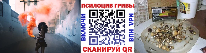 Псилоцибиновые грибы Psilocybine cubensis Сельцо